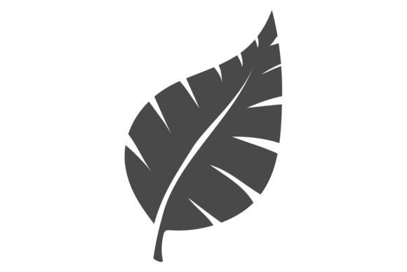 Download Black Leaf Icon. Eco Symbol. Nature Sign - Sign Collection