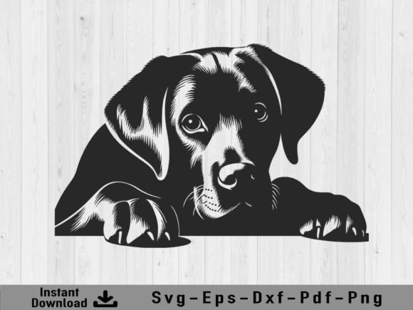 Download Peeking Labrador Retriever Dog Svg File - Svg file Collection